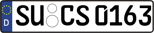 SU-CS0163
