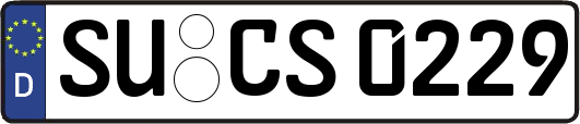 SU-CS0229