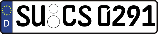 SU-CS0291