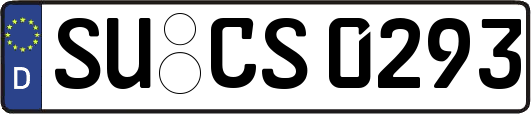 SU-CS0293