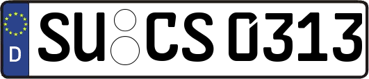 SU-CS0313