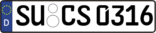 SU-CS0316