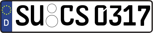 SU-CS0317