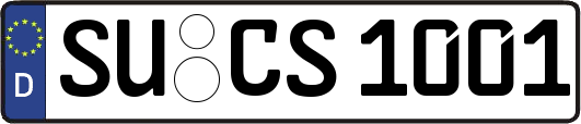 SU-CS1001