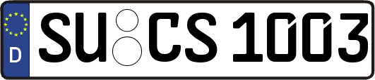SU-CS1003