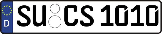 SU-CS1010