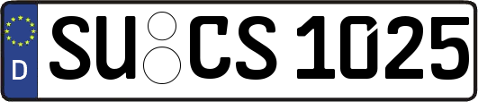 SU-CS1025
