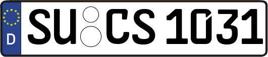 SU-CS1031