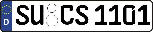 SU-CS1101