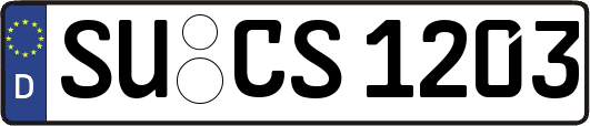 SU-CS1203