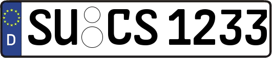 SU-CS1233