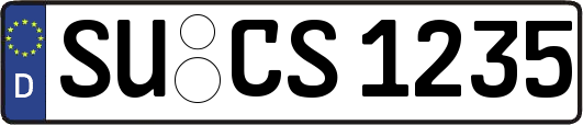 SU-CS1235