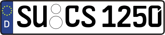 SU-CS1250