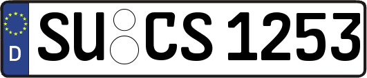SU-CS1253