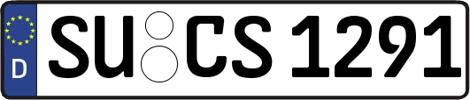 SU-CS1291