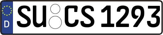 SU-CS1293