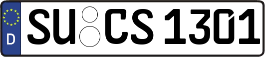 SU-CS1301