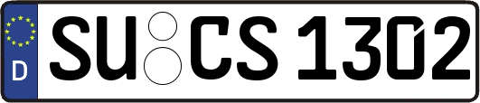 SU-CS1302