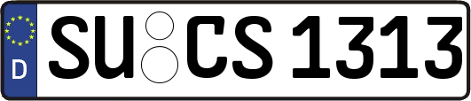 SU-CS1313