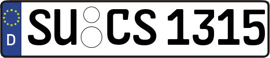 SU-CS1315