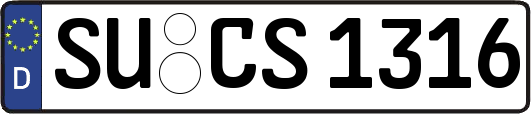 SU-CS1316