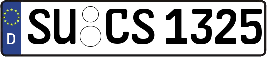 SU-CS1325