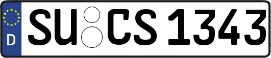 SU-CS1343