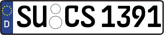 SU-CS1391