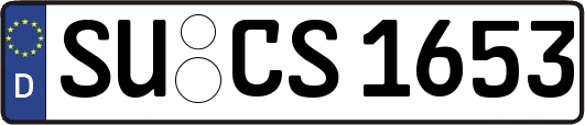 SU-CS1653