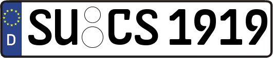 SU-CS1919