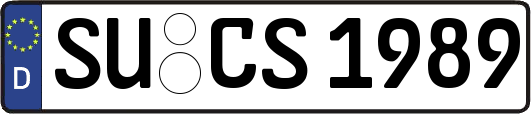 SU-CS1989