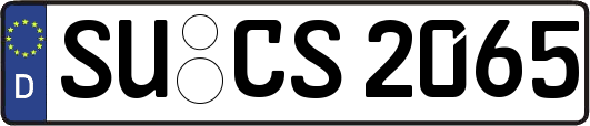 SU-CS2065