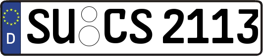 SU-CS2113