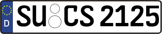 SU-CS2125