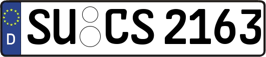 SU-CS2163