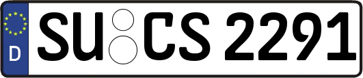 SU-CS2291