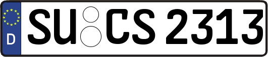 SU-CS2313