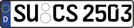 SU-CS2503