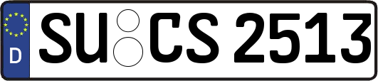 SU-CS2513