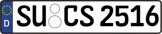 SU-CS2516