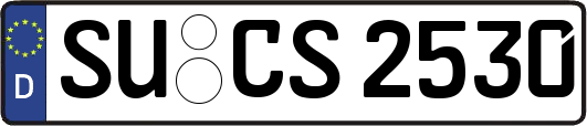 SU-CS2530