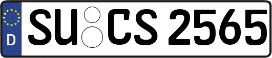 SU-CS2565