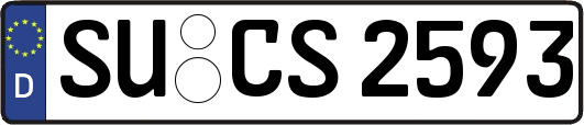 SU-CS2593