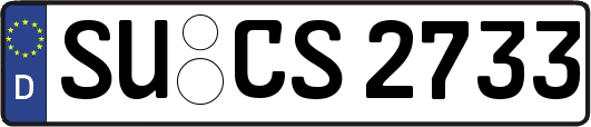 SU-CS2733