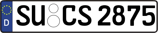 SU-CS2875