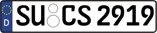 SU-CS2919
