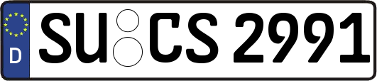 SU-CS2991