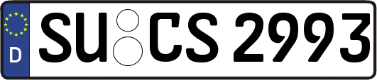 SU-CS2993