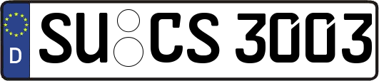 SU-CS3003