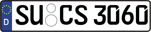 SU-CS3060